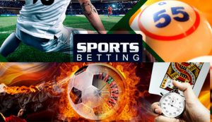Professional Sports Betting Review